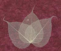 1 in. Bodhi Leaf