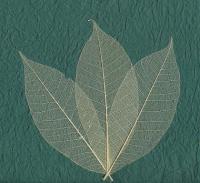 1 in. Rubber Leaf