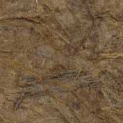 Thatch