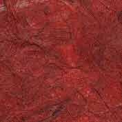 Tango Red