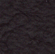 Echo Black