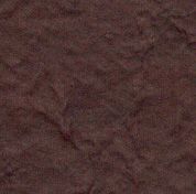Longhorn Brown