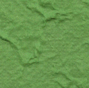 Asparagus