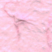 Ballet Pink