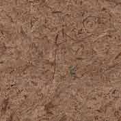 Pecan
