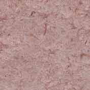 Hampton Pink