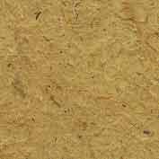 Blanched Almond