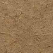 Desert Camel