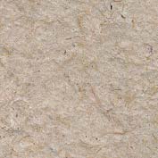 Antique Ivory