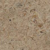 Fossil Brown