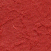 Ruby Slipper
