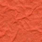 Burnt Orange