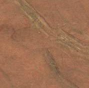Copper Leaf