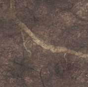 Woodland Brown