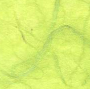 Celery