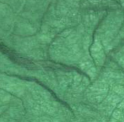 Christmas Green