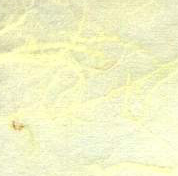 Limeade