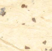 Chocolate Chip