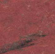 Burnt Tile