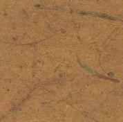 Dijon Mustard