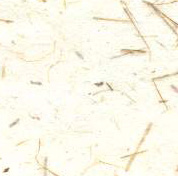 Barley