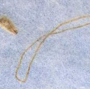 Light Twine
