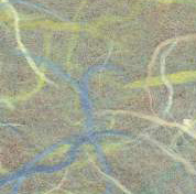 Cumberland Swirl