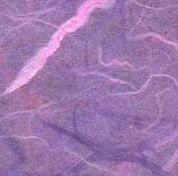 Lavender Swirl