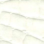 White Rhino