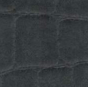 Black Rhino