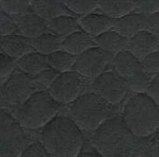 Black Python