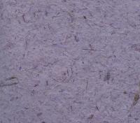 Aster