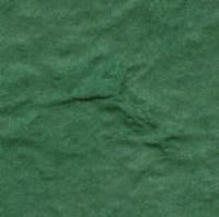 Shamrock