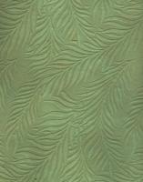 Fern Leaf