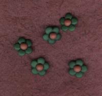 Nylon Button Green - Small