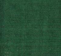 Ever Green