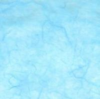 Blue Fox